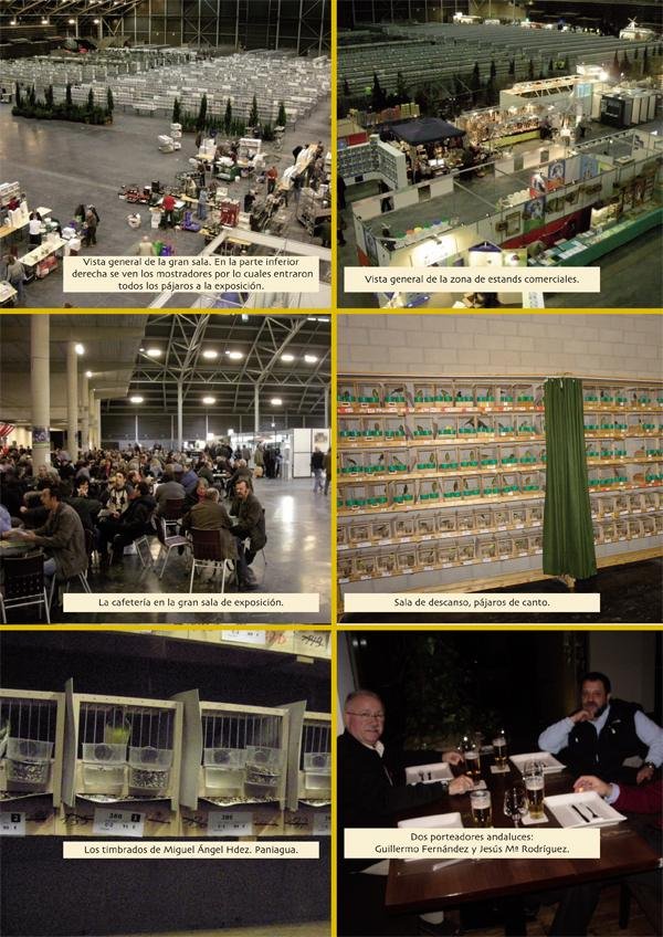 Mundial de Hasselt — Reportaje fotográfico