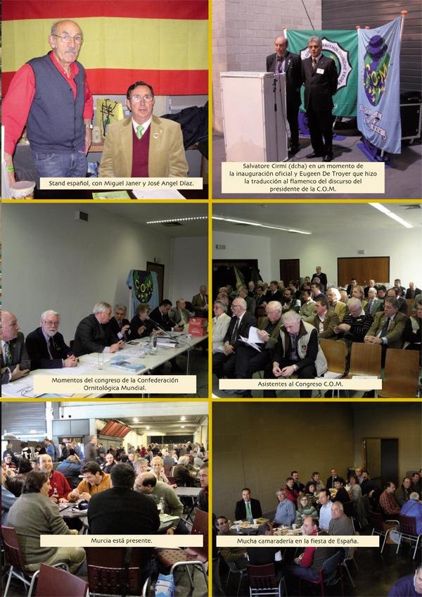 Mundial de Hasselt — Reportaje fotográfico