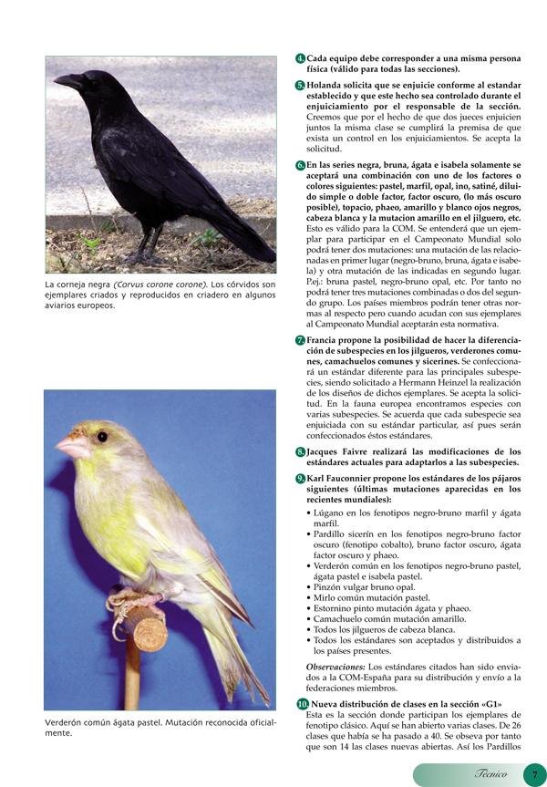Reunión de jueces expertos OMJ/COM sobre Híbridos y Fauna Europea