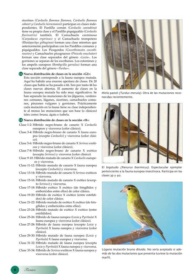 Reunión de jueces expertos OMJ/COM sobre Híbridos y Fauna Europea