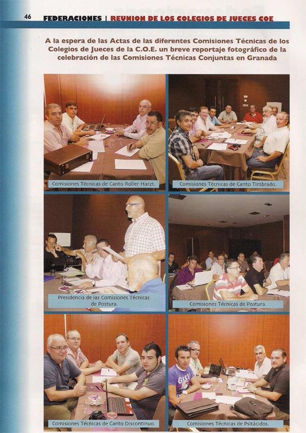 Reunión de presidentes de comisiones técnicas de Color y Postura de los 5 Colegios de Jueces