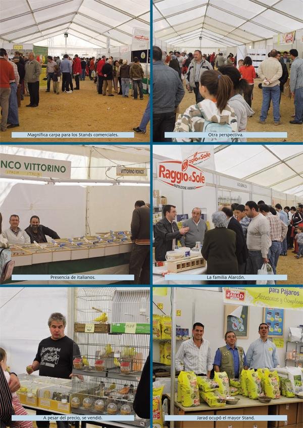 XIV Campeonato Ornitológico de Andalucía (F.O.A.)