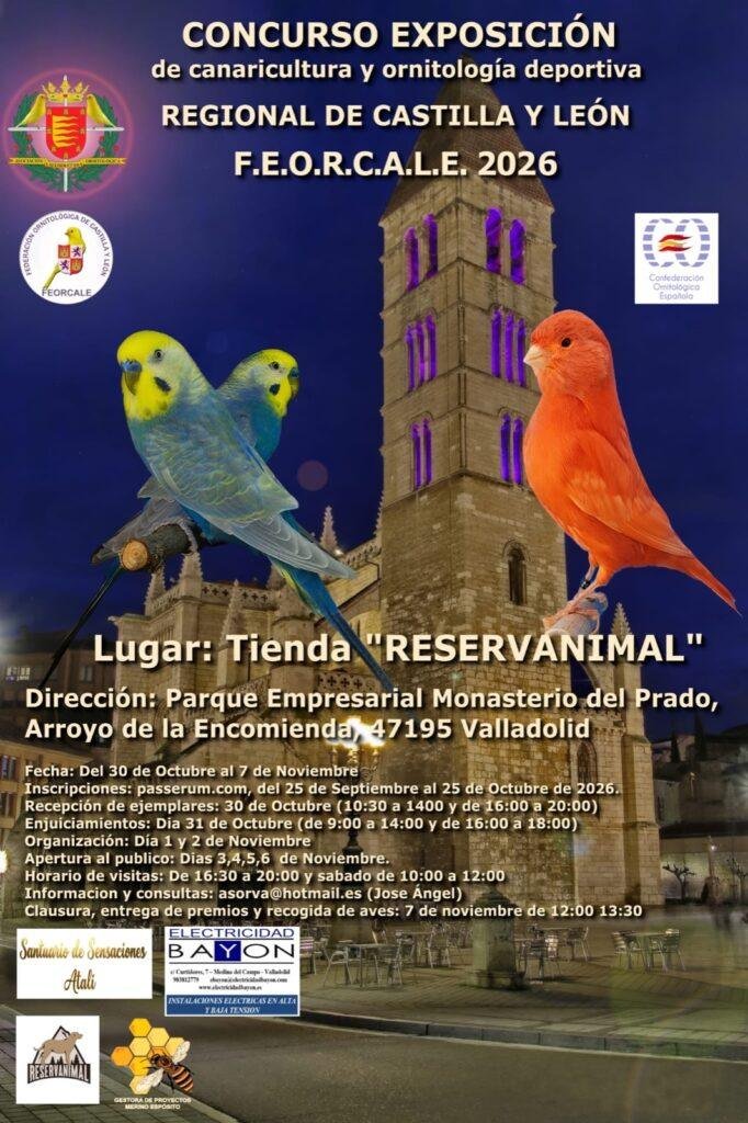 Cartel del Concurso Exposición de canaricultura y ornitología deportiva, Regional de Castilla y León FEORCALE 2026, Valladolid