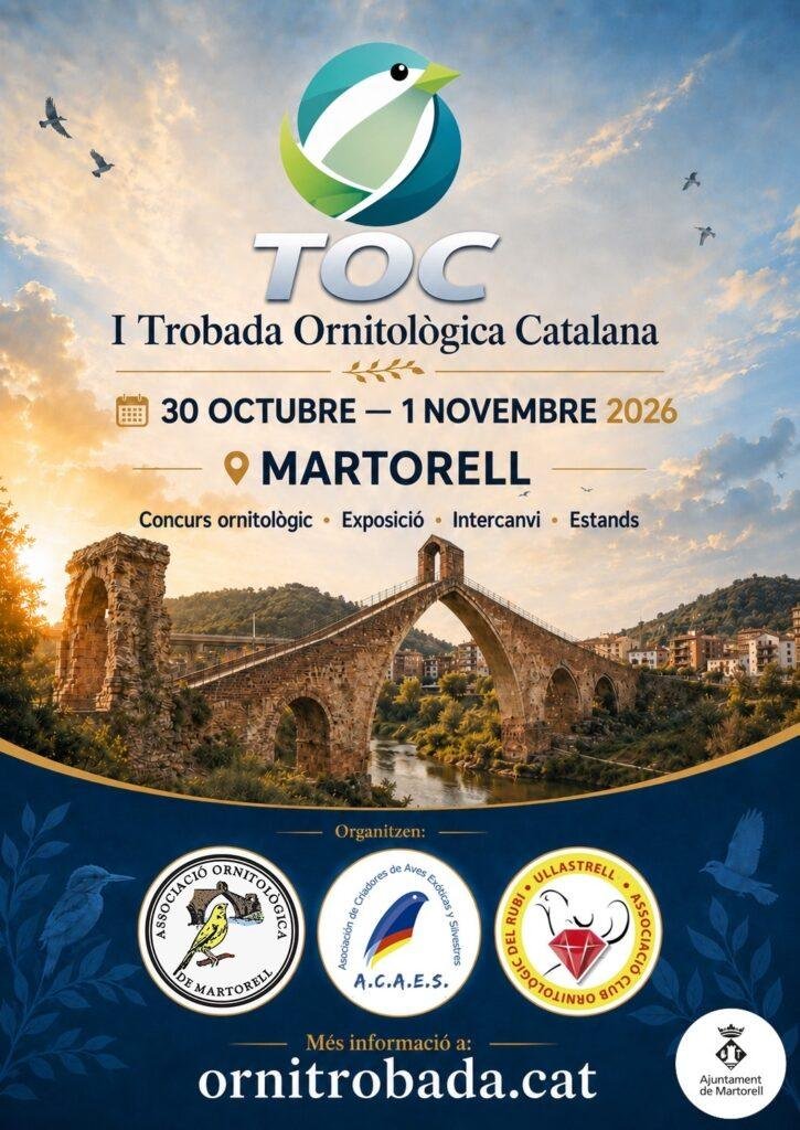 Cartel de la I Trobada Ornitològica Catalana, Martorell, 30 de octubre al 1 de noviembre de 2026